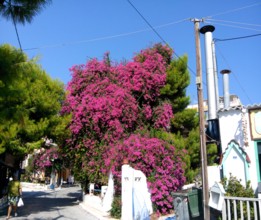 Strada plecand din Portul Agia Marina